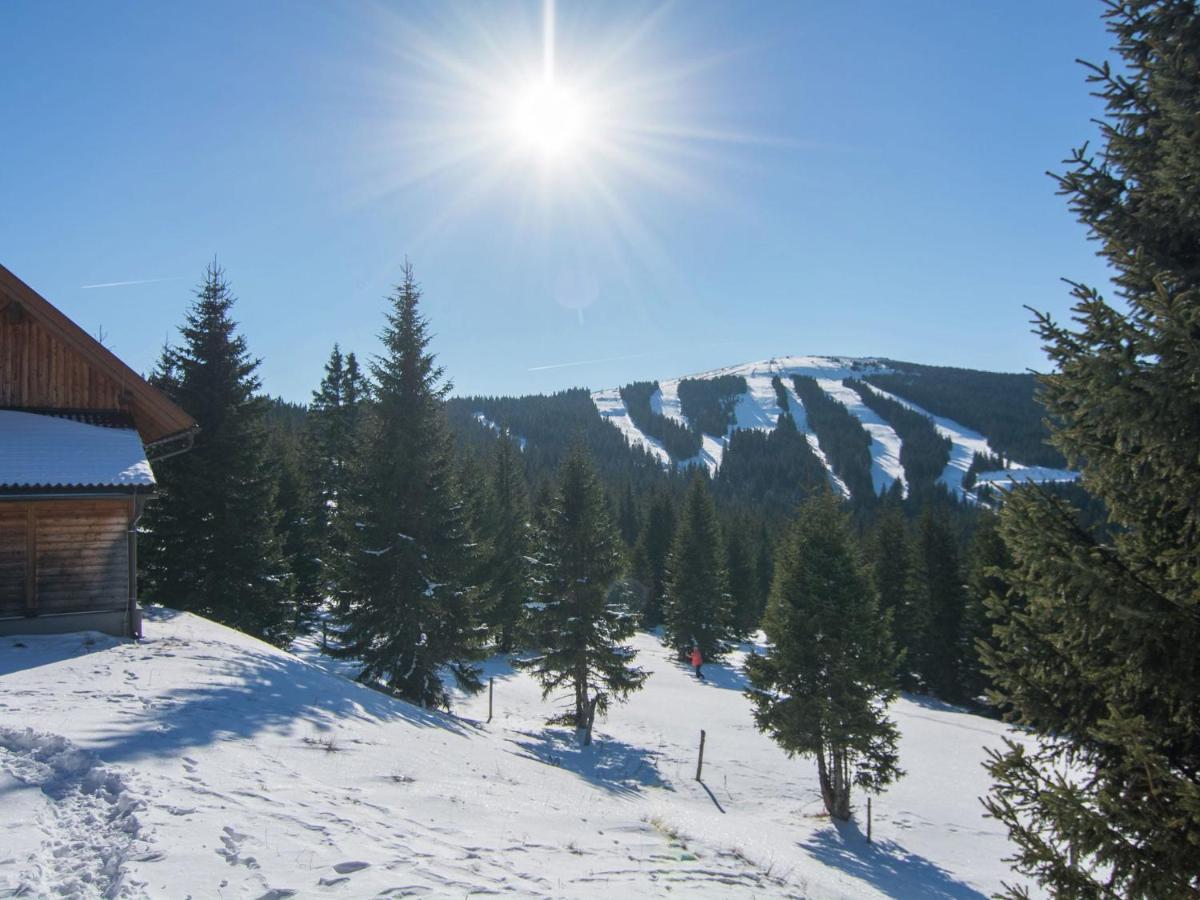 Beautiful Holiday Home In Weinebene With Sauna Obergösel Dış mekan fotoğraf